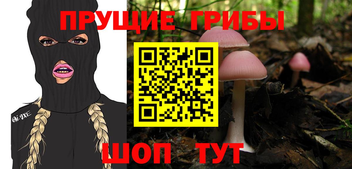 Галлюциногенные грибы ЛСД Ростов Великий