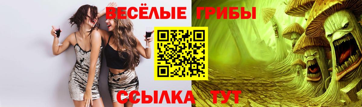 Галлюциногенные грибы MAGIC MUSHROOMS  Вход с VPN  Ростов Великий 